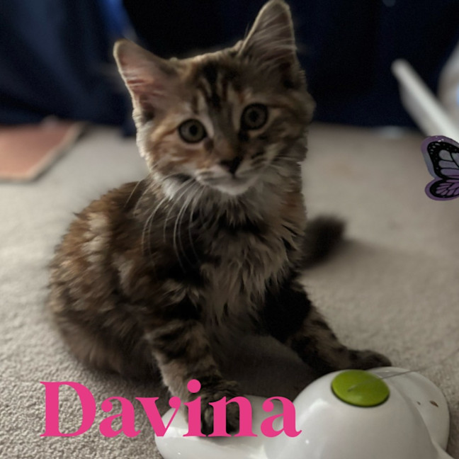 Photo of Davina