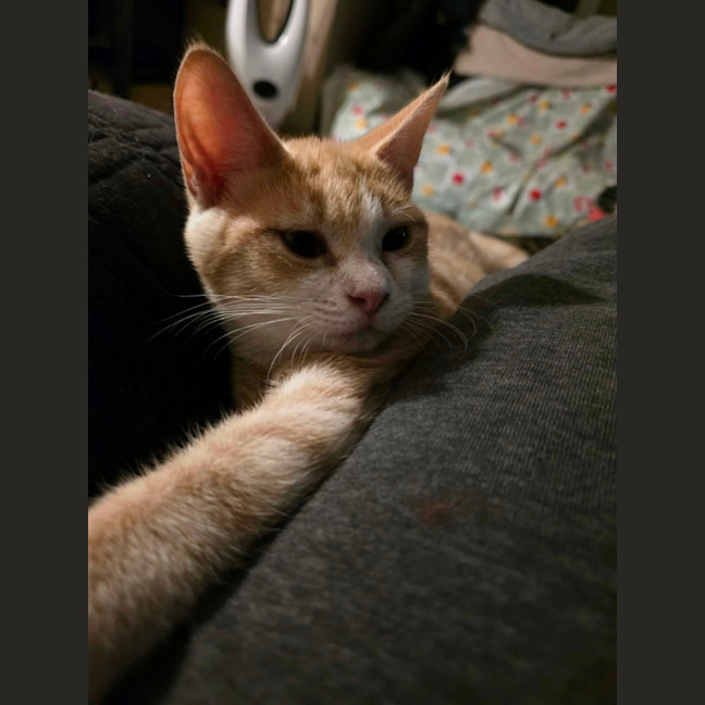 Photo of Peewee 