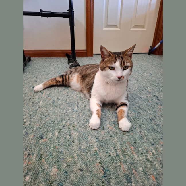 Photo of Little Girl