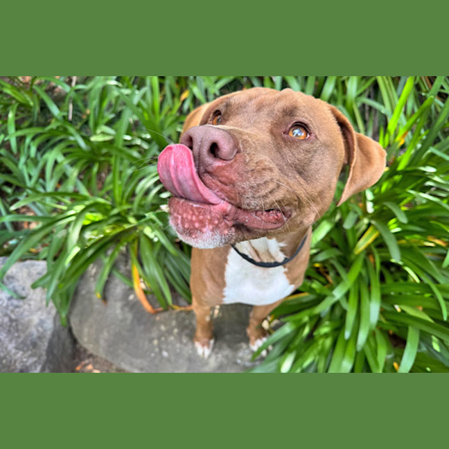 Photo of Turbo