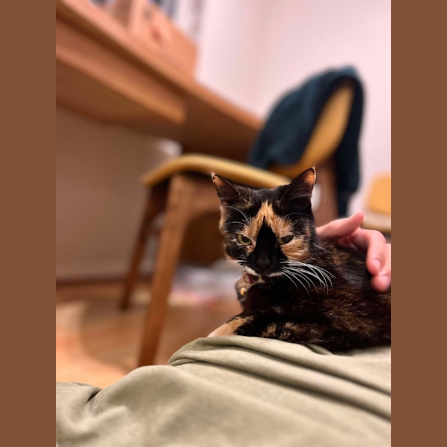 Photo of Viv (Vivienne)