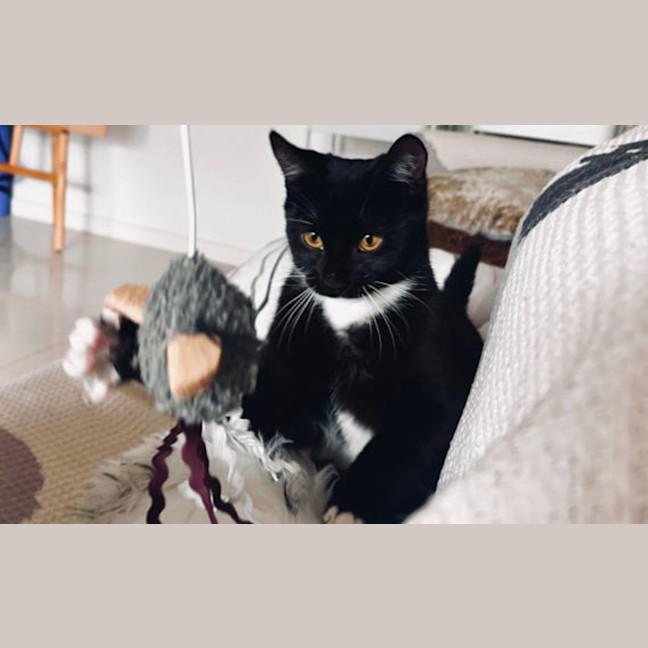 Photo of Eleanor