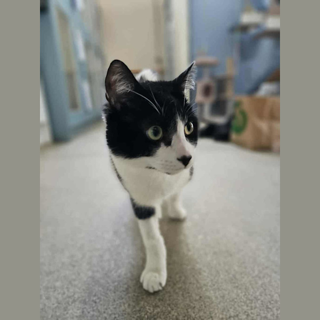 Photo of Momo