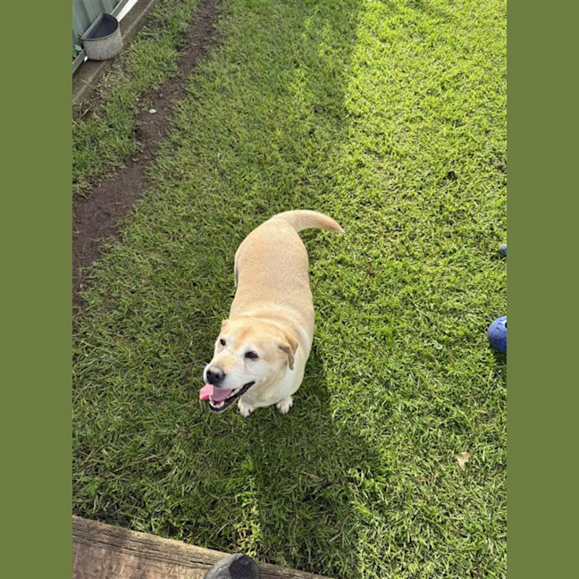 Photo of Narla