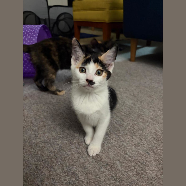 Photo of Hazel And Baby