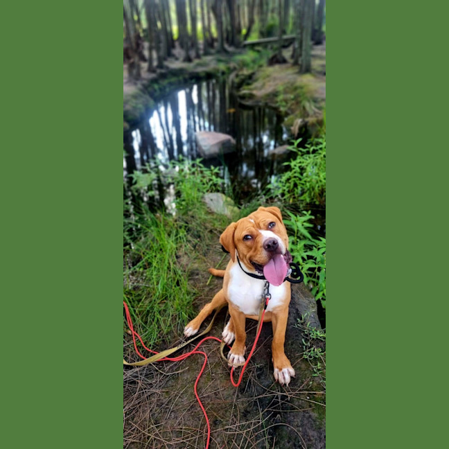 Photo of Rosie