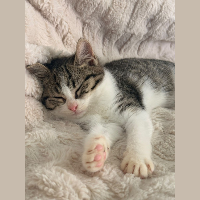 Photo of Mabel 