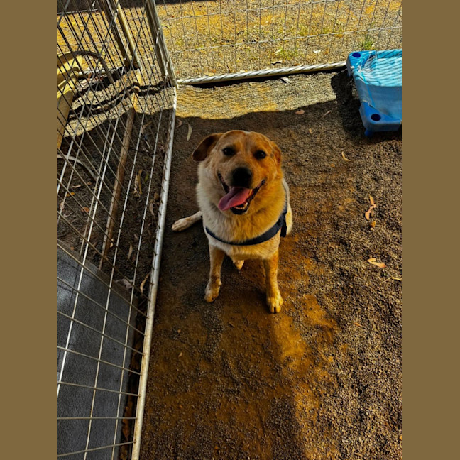 Photo of Kooch