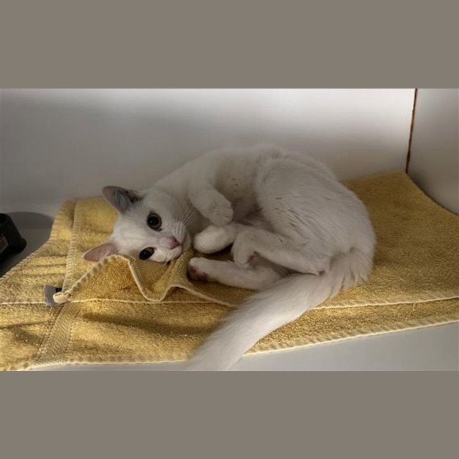 Photo of Maisy