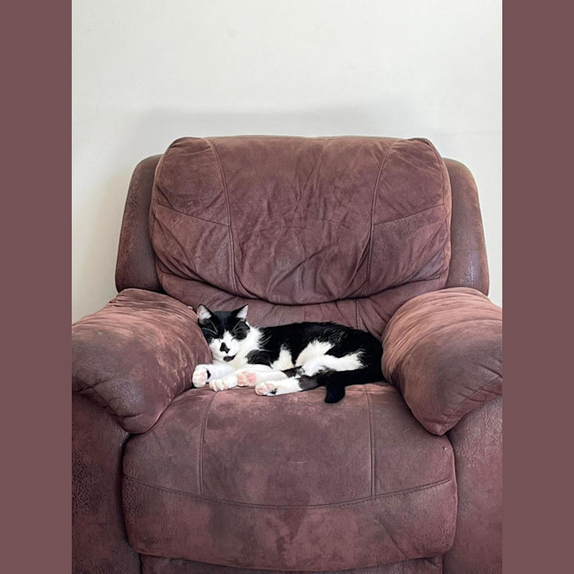 Photo of Apolo
