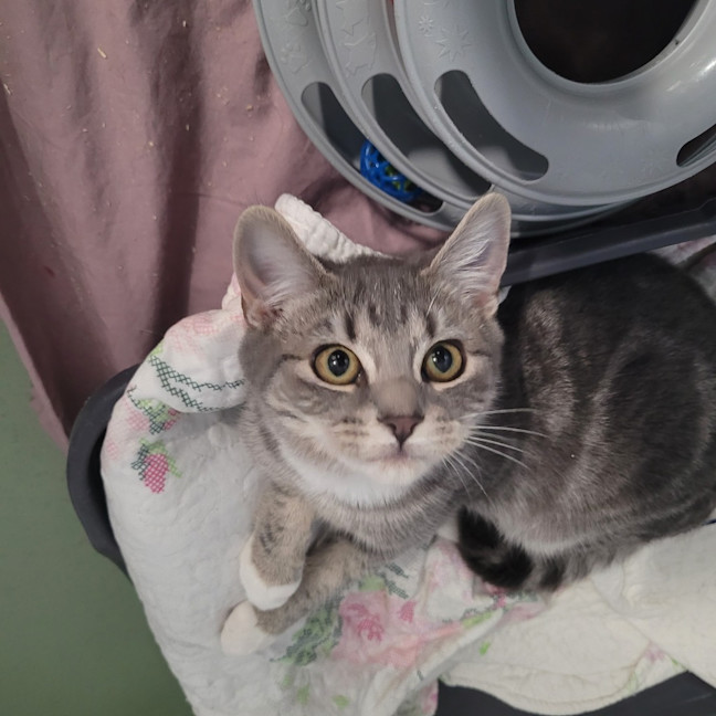 Photo of Kiki