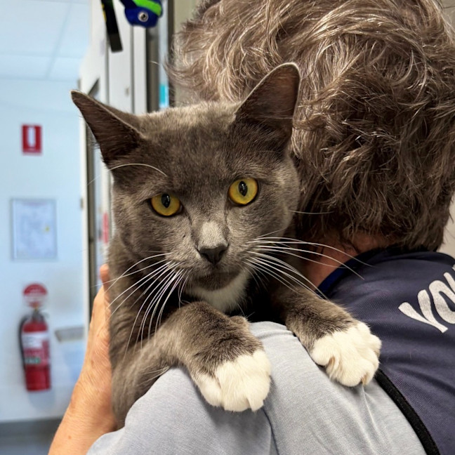 Photo of Arthur Sta013496