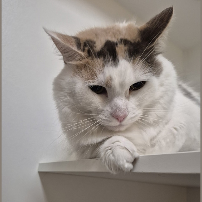 Photo of Anita