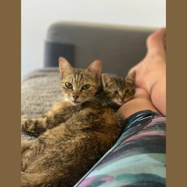 Photo of Sansa