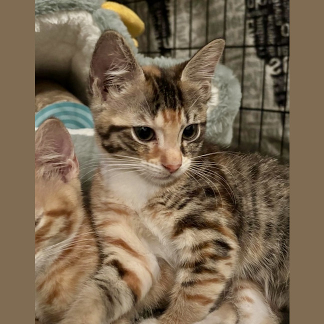 Photo of Kalia