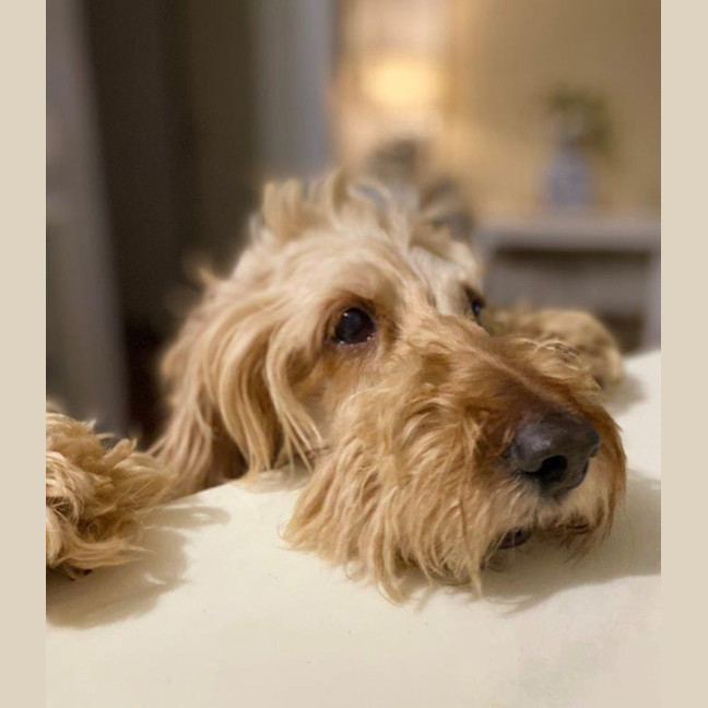 Photo of Shari Jablonski