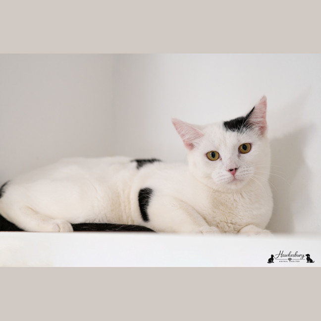Photo of Maria