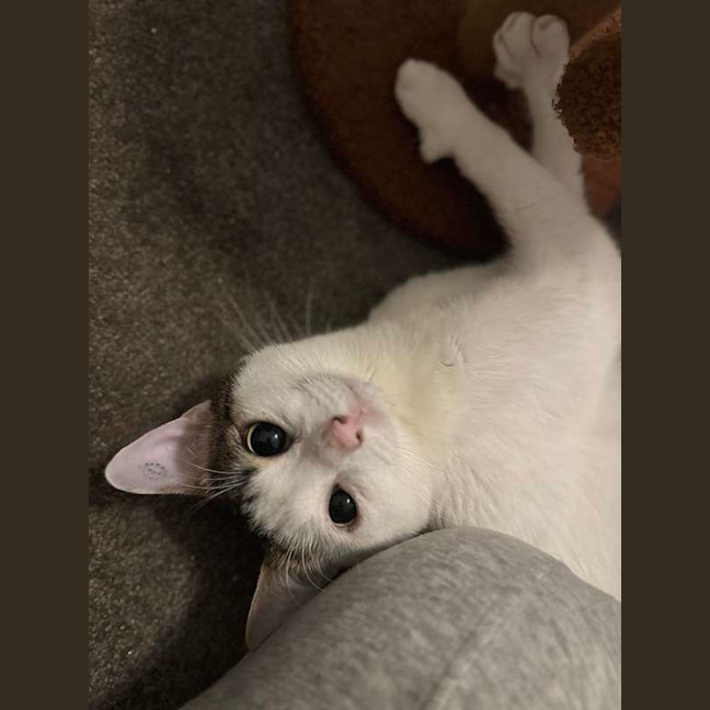 Photo of Smoosh
