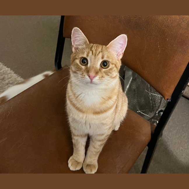 Photo of Gary
