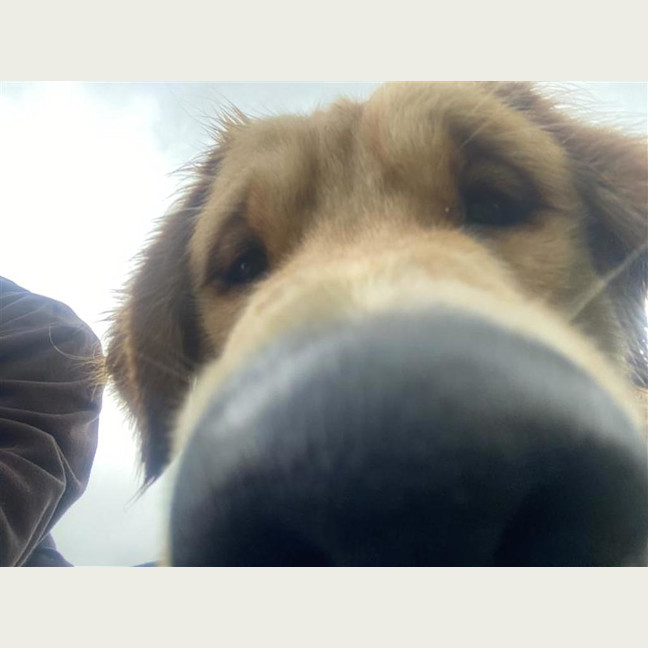 Photo of Whiskey