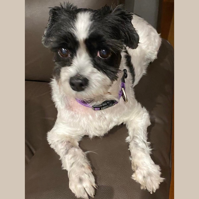 Photo of Sophia 