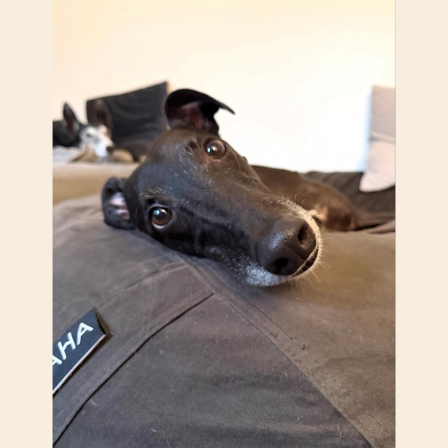 Photo of Chloe 