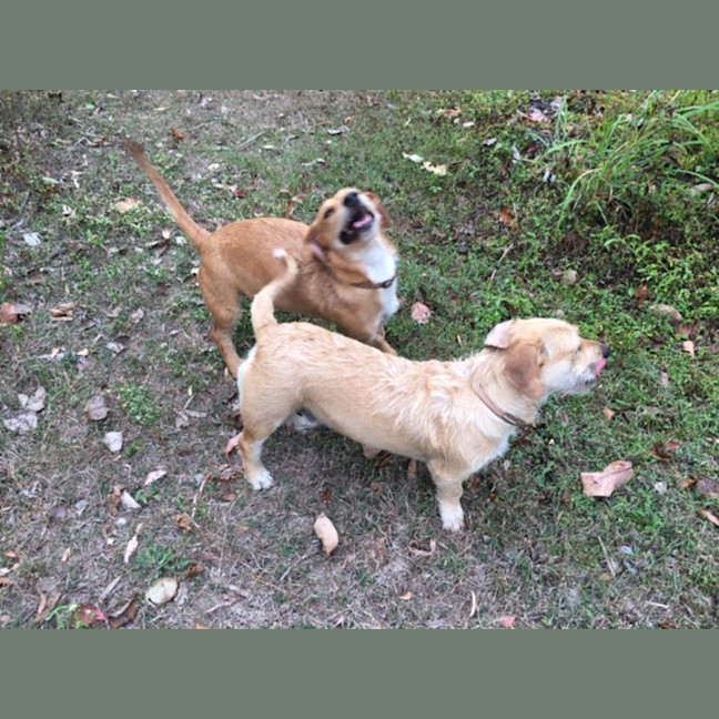 Photo of Hannah And Edward