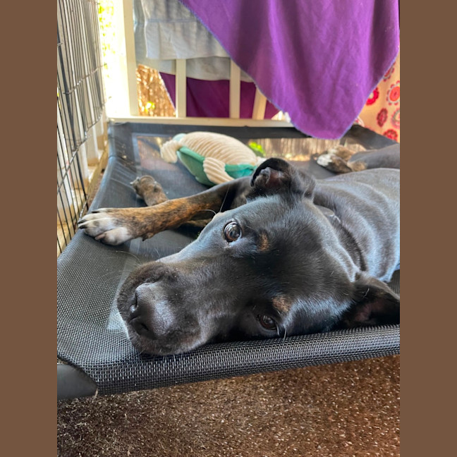Photo of Macy