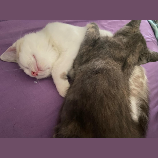 Photo of Summer And Rain 