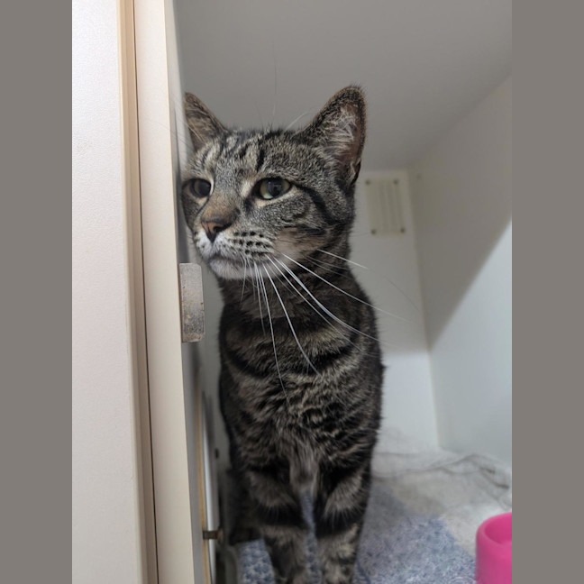 Photo of Bruce