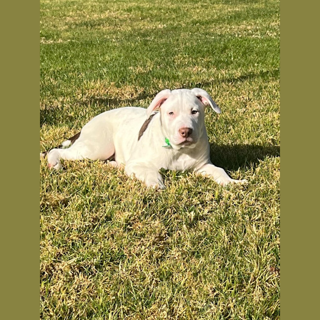 Photo of ❄️ Snowy ❄️