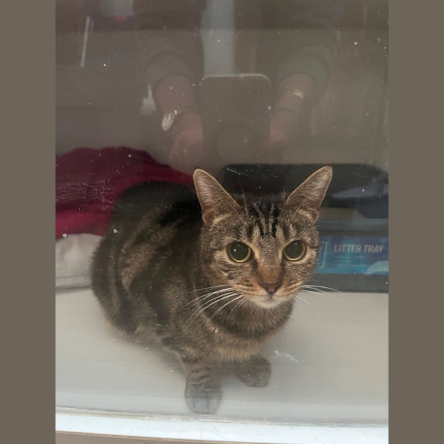 Photo of Rosie & Roxy