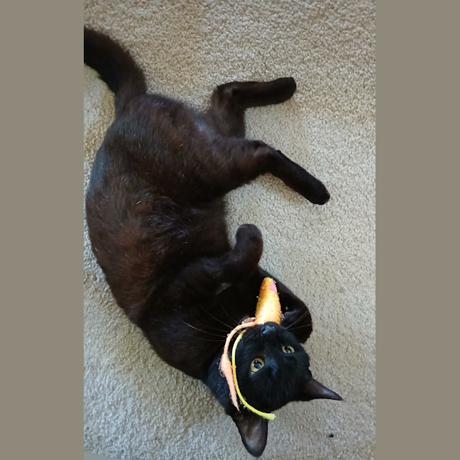 Photo of Elwood