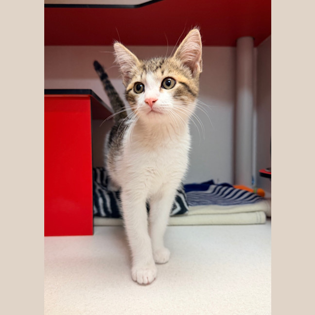 Photo of Jaspurr