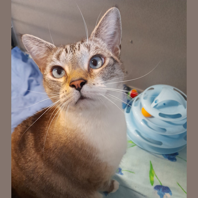 Photo of The Vivienne