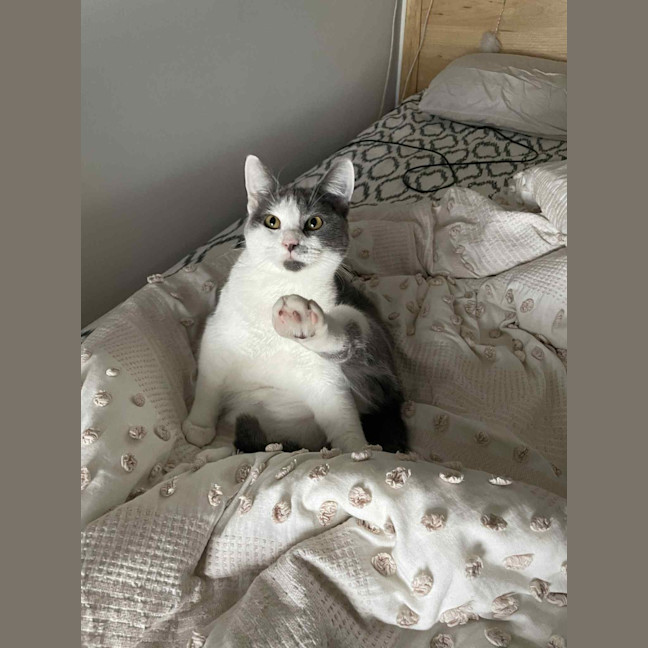 Photo of Bonnie