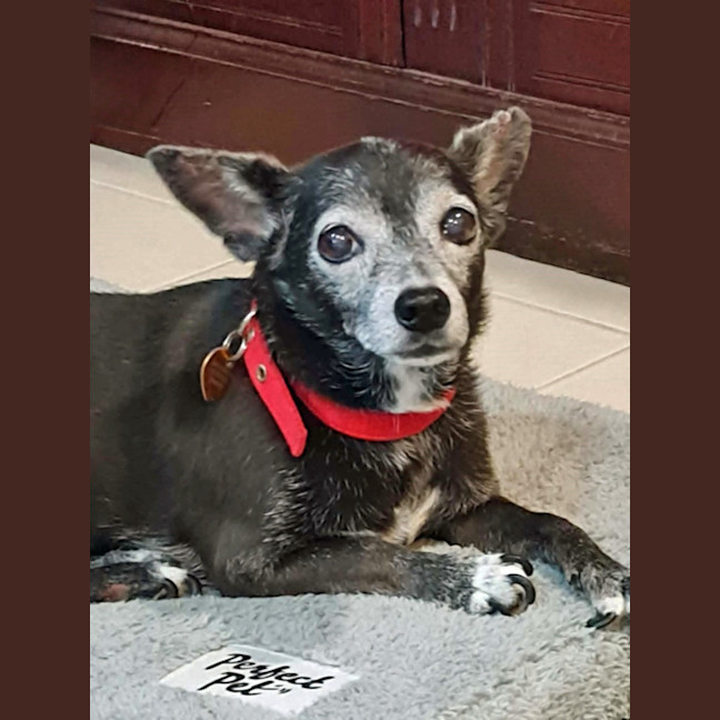 Photo of Minnie