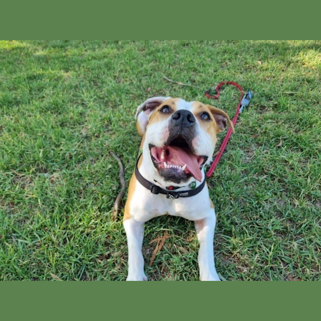 Photo of Yoko Newhaven