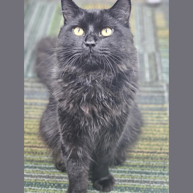Photo of Hobie