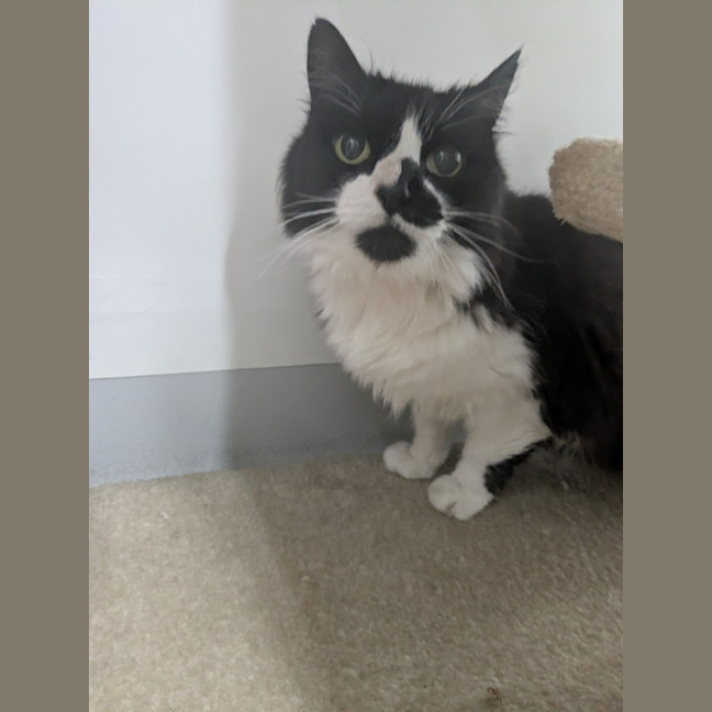 Photo of 🍙 Nancy 6831 🍙