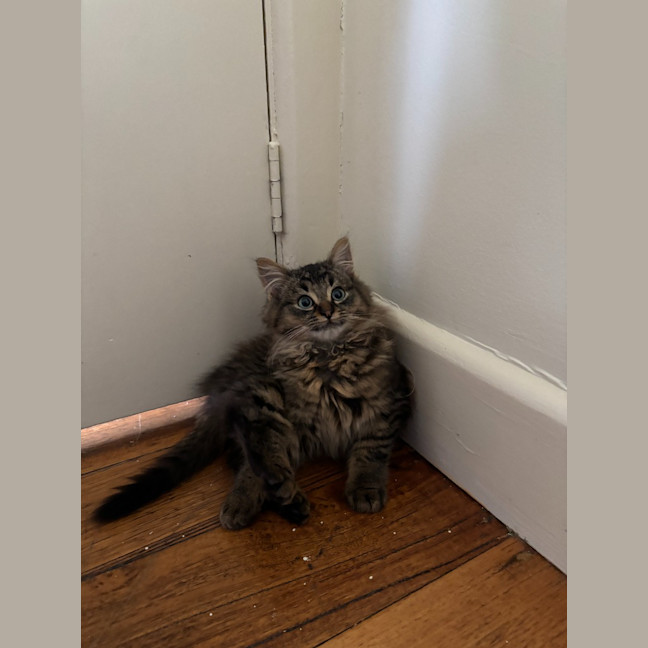 Photo of Percy