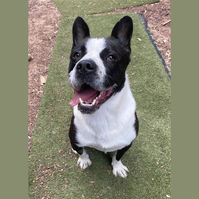 Photo of Chase