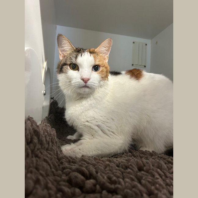 Photo of Zoe