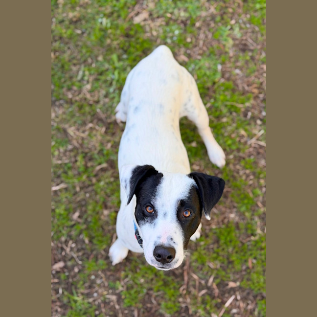 Photo of Sully