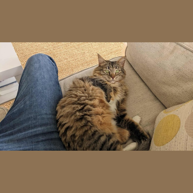 Photo of Jupiter 🩷