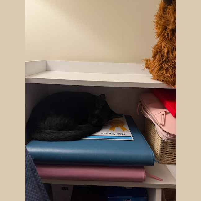 Photo of Eve & Coalette