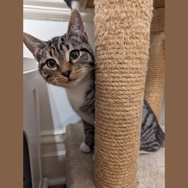 Photo of Promise