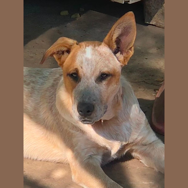 Photo of Rubi