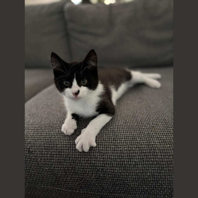 Photo of Bruce And Macey