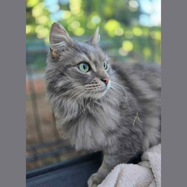 Photo of Samuel Whiskers